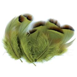 Perdrix rouge teint&eacute; olive