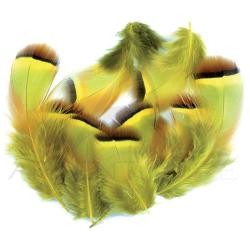 Perdrix rouge teint&eacute;e jaune