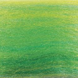 EP FIBERS 3D Anchois 12