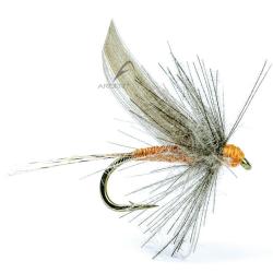 Mouche AB FLY Eph&eacute;m&egrave;res subimagos ornans OR H18