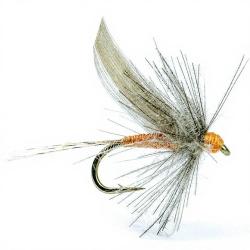 Mouche AB FLY Eph&eacute;m&egrave;res subimagos ornans OR H20