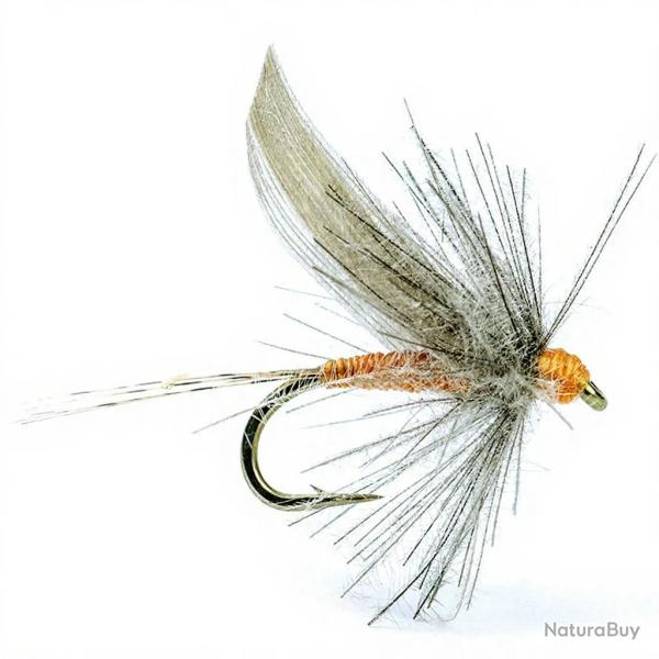 Mouche AB FLY Eph�m�res subimagos ornans OR H20