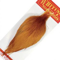 Cous de coq WHITING bronze roux