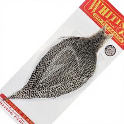 Cous de coq WHITING bronze grizzly