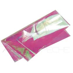 Feuille iris&eacute;e