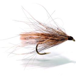 Mouche AB FLY Les Morlaisiennes SE BE L H16