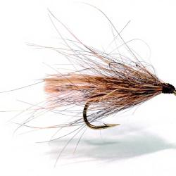 Mouche AB FLY Les Morlaisiennes SE BE L H16