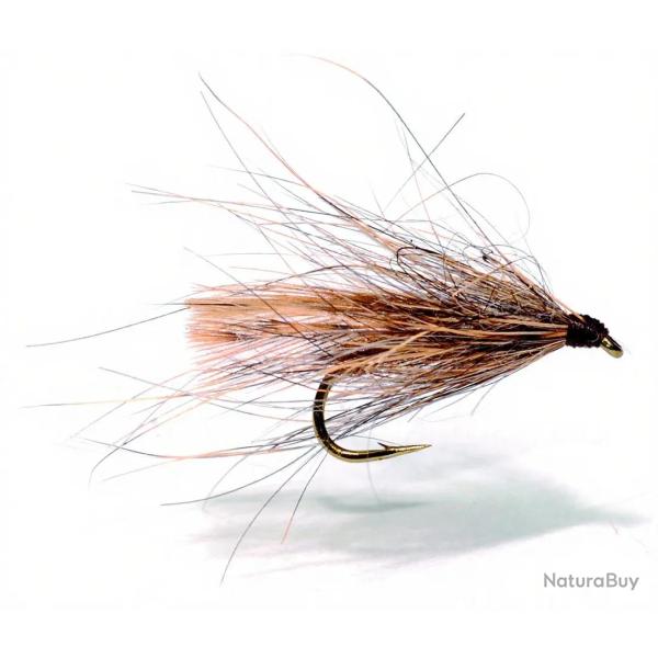 Mouche AB FLY Les Morlaisiennes SE BE L H16