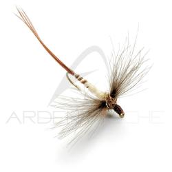 Mouche AB FLY Mai spents IM MAI H10