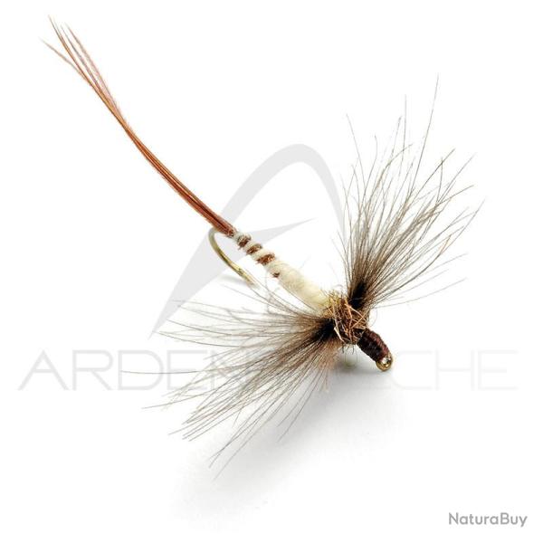 Mouche AB FLY Mai spents IM MAI H10