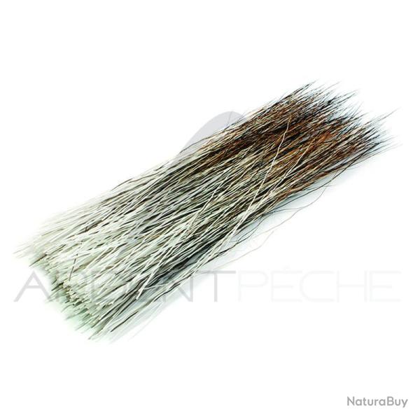 Crini�re d��lan