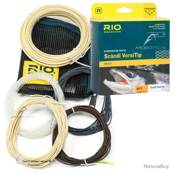 Soie RIO Scandi Short versitip 370Gr / 24g