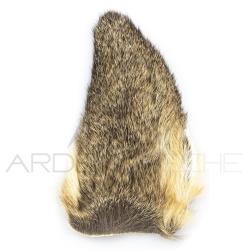 Oreille de chevreuil naturelle