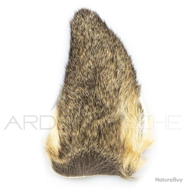 Oreille de chevreuil naturelle