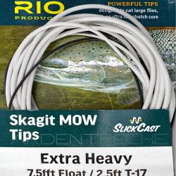 RIO Skagit MOW Tip extra heavy Plongeant 3.8m