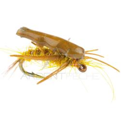 Nymphe Alan Campbell SBN 003 H18