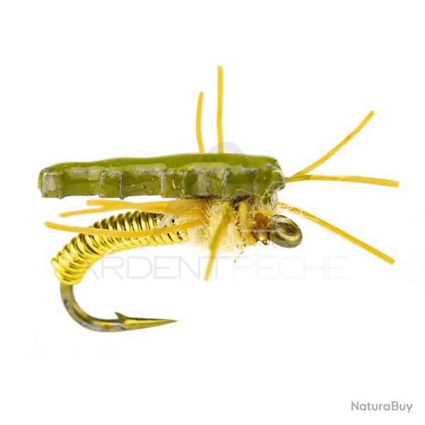 Nymphe Alan Campbell SBN 013 H16