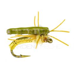 Nymphe Alan Campbell SBN 013 H18