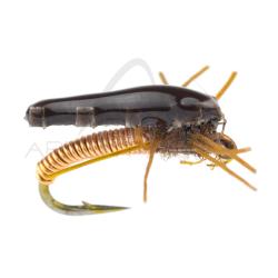 Nymphe Alan Campbell SBN 014 H18