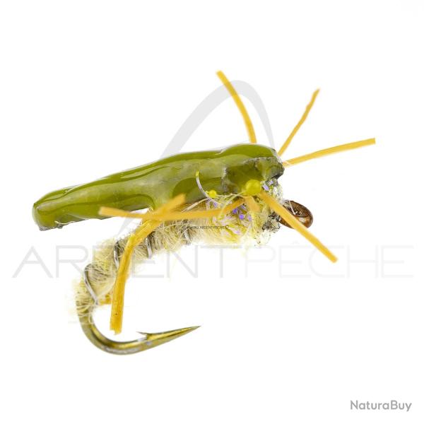 Nymphe Alan Campbell SBN 020 H18