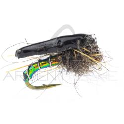 Nymphe Alan Campbell SBN 031 H16