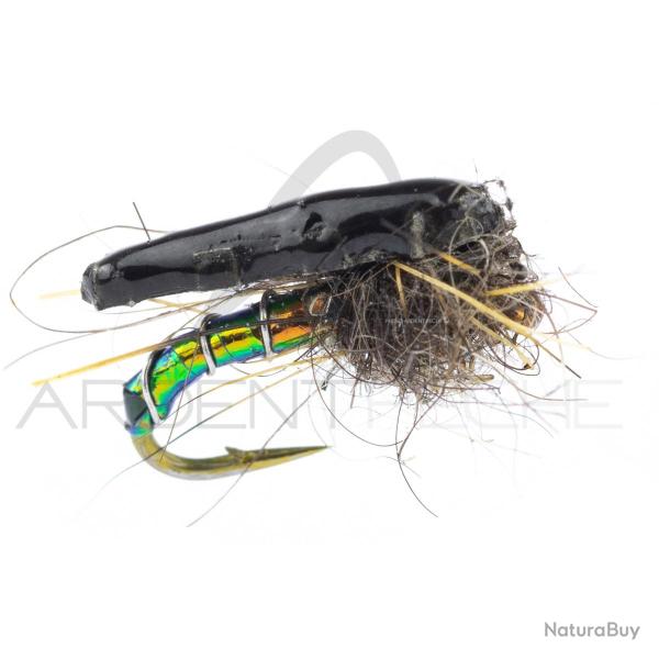 Nymphe Alan Campbell SBN 031 H16