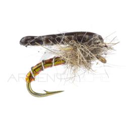 Nymphe Alan Campbell SBN 032 H18