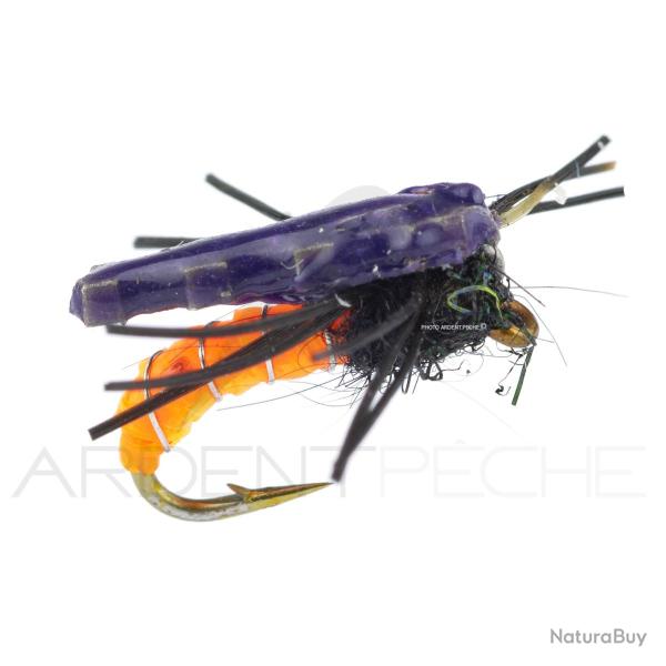 Nymphe Alan Campbell SBN 040 H16