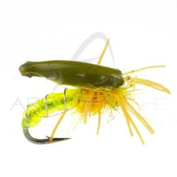 Nymphe Alan Campbell SBN 041 H16