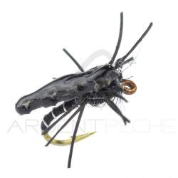 Nymphe Alan Campbell SBN 050 H18