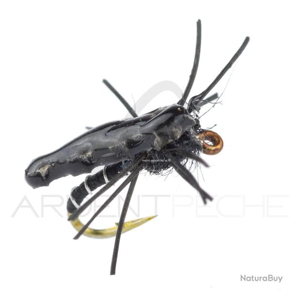 Nymphe Alan Campbell SBN 050 H18