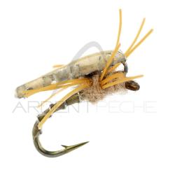 Nymphe Alan Campbell SBN 052 H16