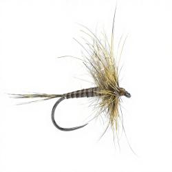 Mouche DEVAUX Emergente HL 06 H16