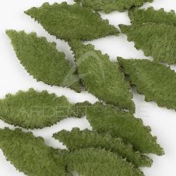 Corps de crabe EP FLEEING CRAB BODY Medium Olive