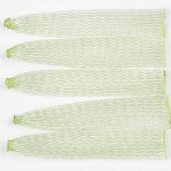 Corps de crabe EP SOFT SHELL CRAB BODY Grass