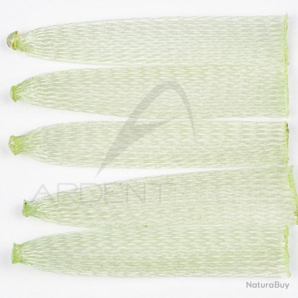 Corps de crabe EP SOFT SHELL CRAB BODY Grass