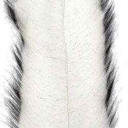 EP FIBER INVADER BRUSH Blanc