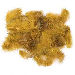 perdrix plumes de collerette claire teint&eacute; ginger