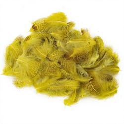 perdrix plumes de collerette claire teint&eacute; jaune