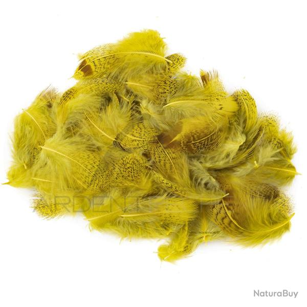 perdrix plumes de collerette claire teint� jaune