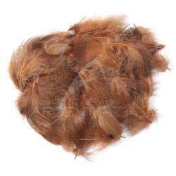 perdrix plumes de collerette claire teint&eacute; fiery brown