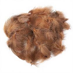 perdrix plumes de collerette claire teint&eacute; fiery brown