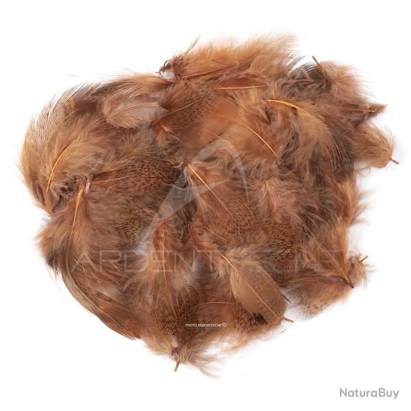 perdrix plumes de collerette claire teint� fiery brown