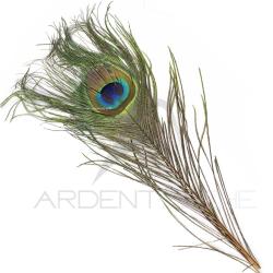 Paon oeil complet&nbsp;teint&eacute; ginger