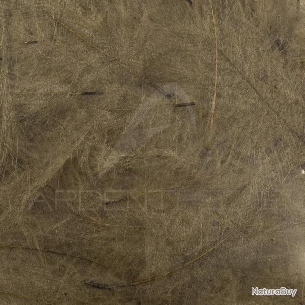 Cul de canard 54 DeanStreet super select Brown Grey