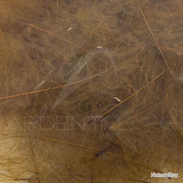 Cul de canard 54 DeanStreet super select Dark Brown