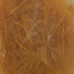 Cul de canard 54 DeanStreet super select Ginger