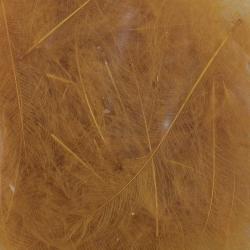Cul de canard 54 DeanStreet super select Ginger