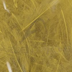 Cul de canard 54 DeanStreet super select Golden Olive