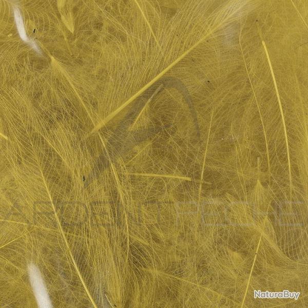 Cul de canard 54 DeanStreet super select Golden Olive